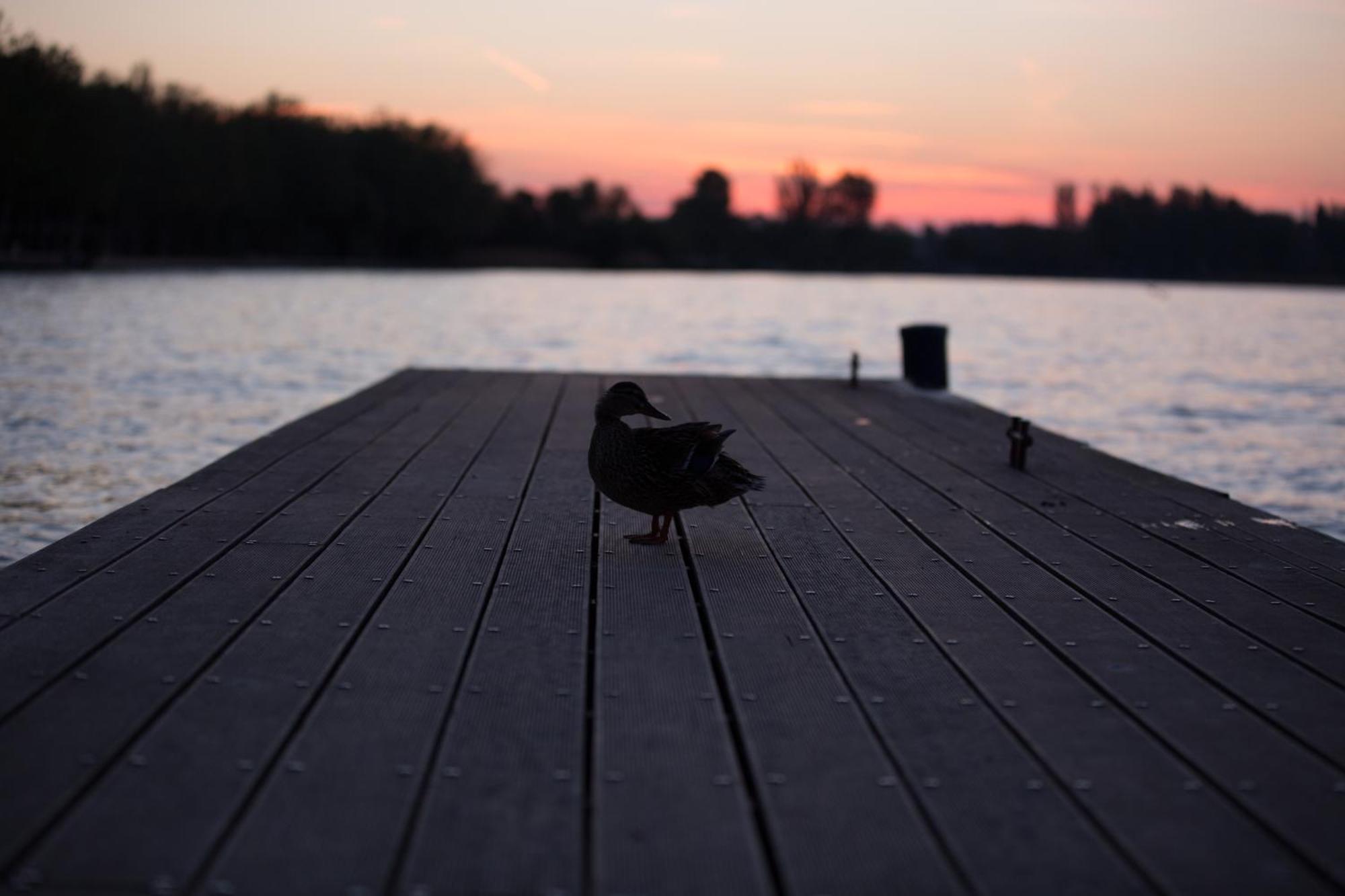 Katalin Ház Balatonfüred